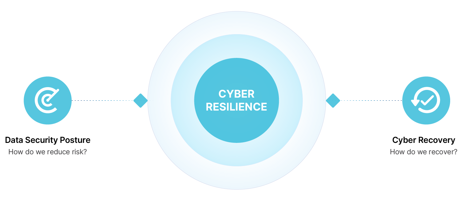 cyber resilience